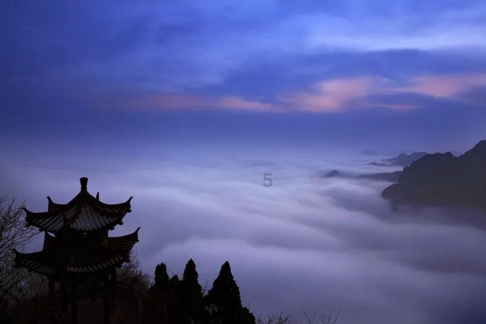 大金狮逃生